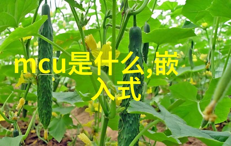 微控制世界一天中的无数创意与挑战