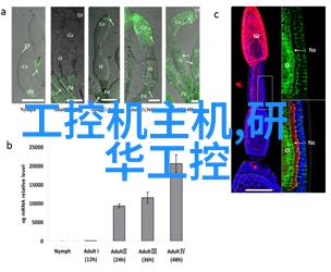 超压杀菌净化的极致