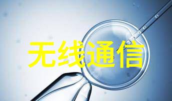 微型编码之匠嵌入式应用软件开发工程师的数字诗篇