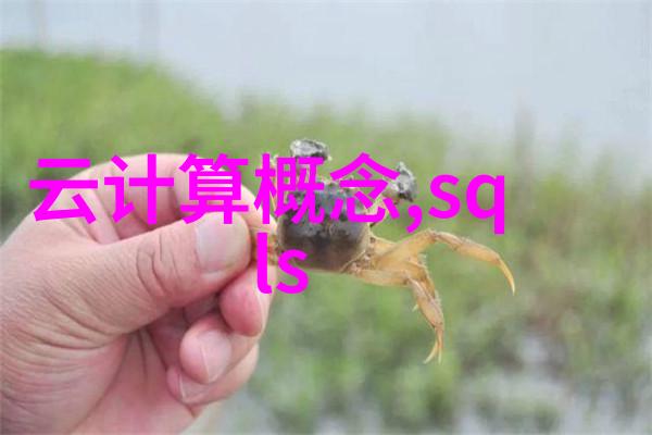 合同制定与执行的艺术精准方案合同的编写与管理