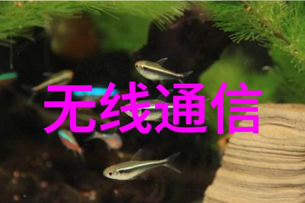 钻石购买指南揭秘闪耀爱情的璀璨秘籍