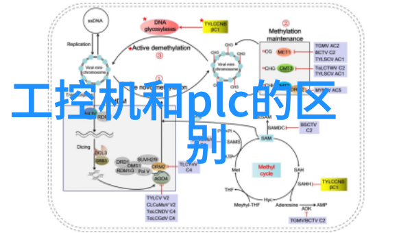 无忌时代背景下的个性化生活指南