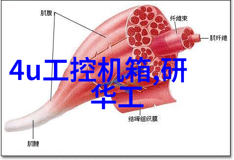 主卧室带卫生間裝飾圖片中的照明設計技巧是什么