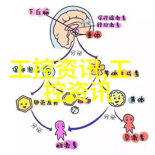 尼康 论坛我在这里遇见了世界的每一个角落