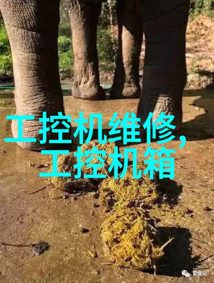 智能化运输输送机设备如何革新仓储管理