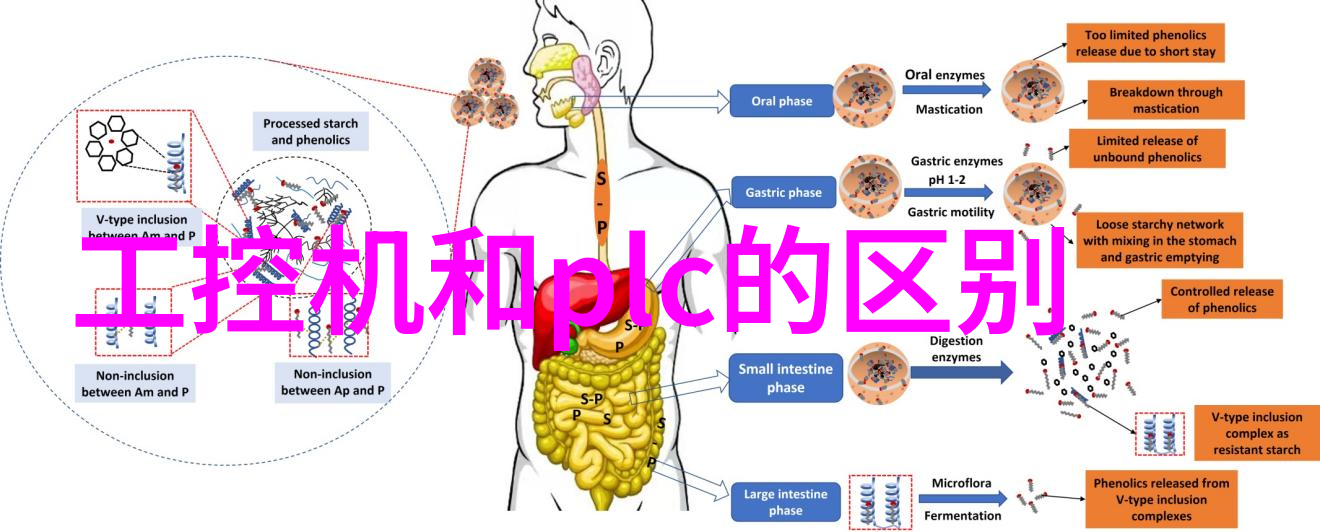 森山大道穿越自然风光的休闲步道