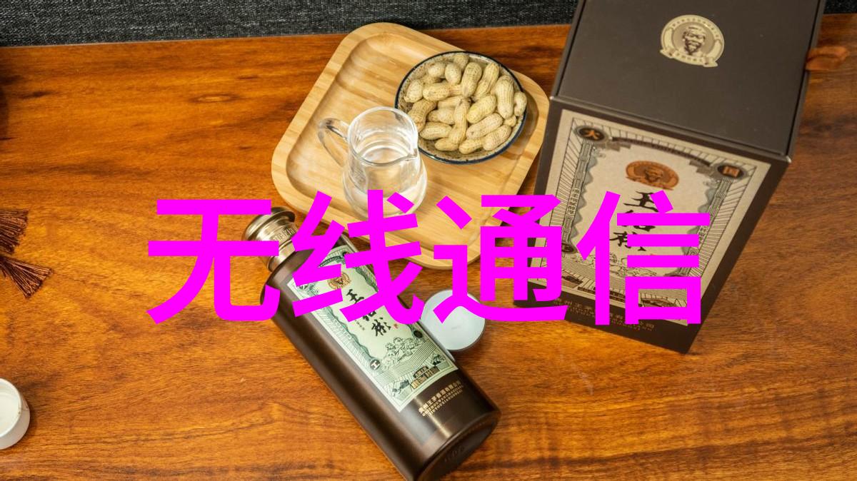 追忆与承诺一个下嫁故事的编年史