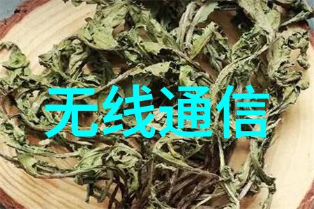 气力输送机系统高效能的工业流程辅助设备