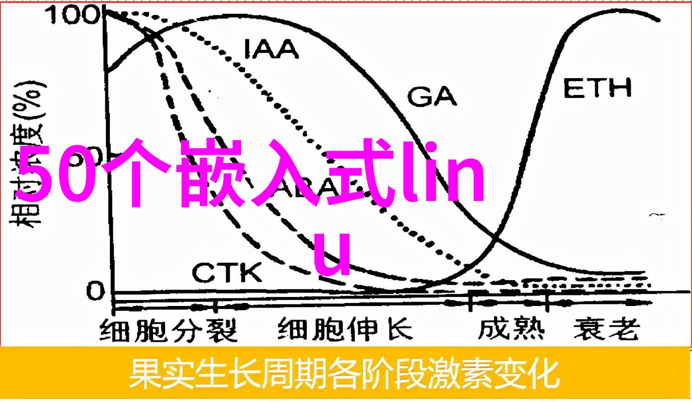 设计装修我是怎么把小破房子装扮成梦想家园的