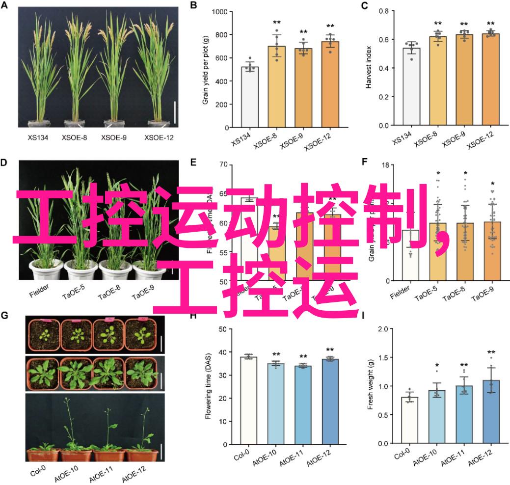 助力茶叶生产与消费 茶多酚含量速测方法出炉