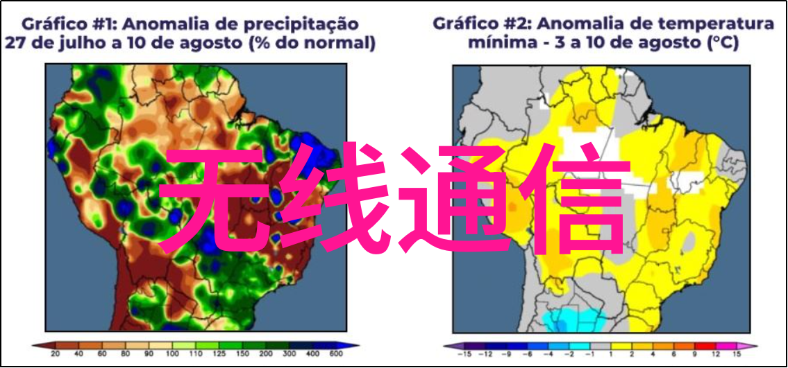 夏日果品-白桃与松木夏季特产的独特魅力