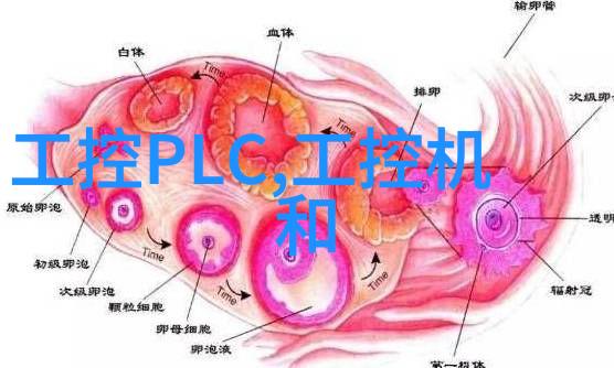 农村自建房客厅装修我家的客厅从简陋到时尚的奇妙变迁