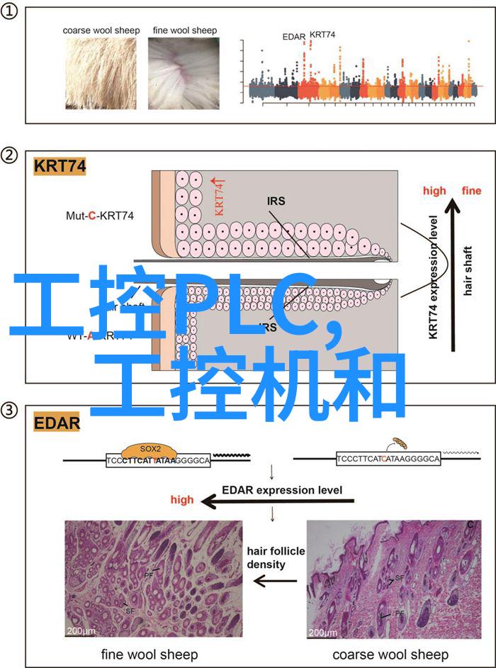 智能化技术如何提升水电站运行效率