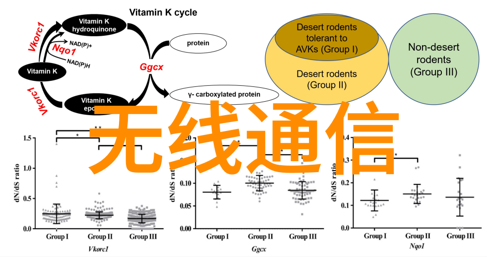 揭秘签订装修合同的神秘之道方案合同中的细节与奥秘