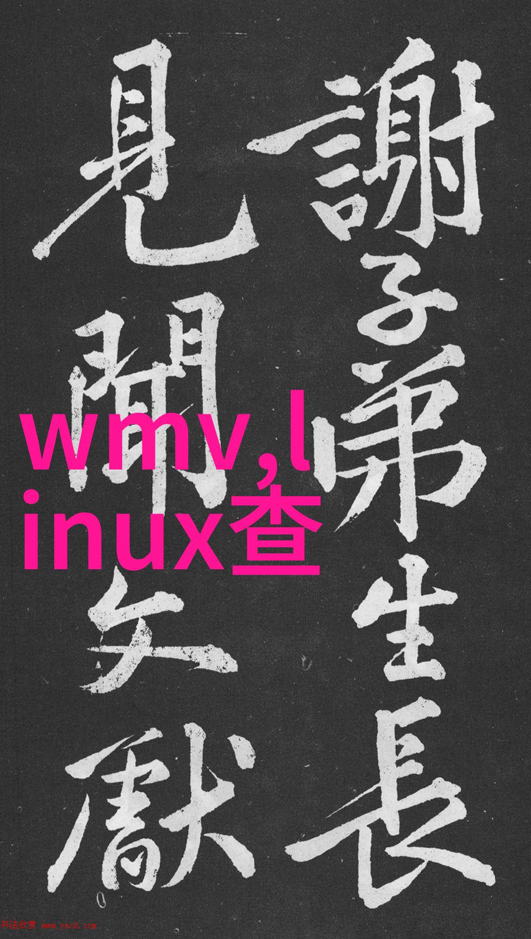 如何提高化工片剂机械的安全性与可靠性