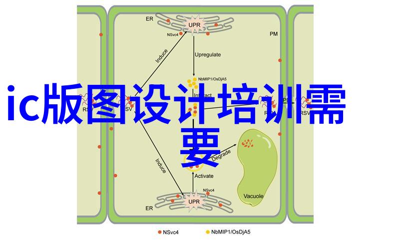 黑玫瑰的花语暗情哀愁与不羁