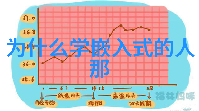 夜夜风流浪漫的夜晚生活