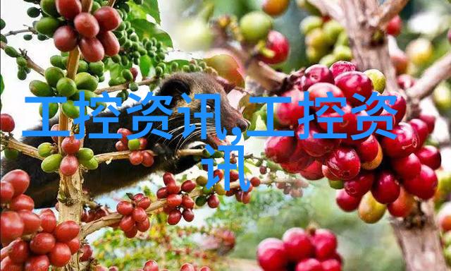 秘密之芯揭开嵌入式系统四大神秘方向的面纱