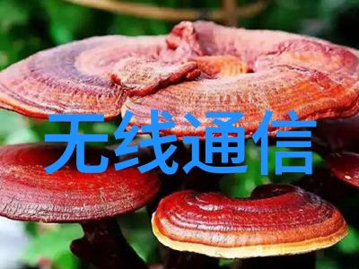 安全性至上保障用户数据安全的措施探究