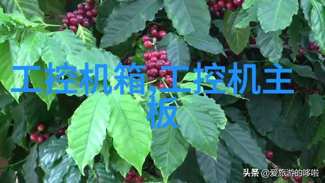 怎样学好手机拍摄技术快来看看我是怎么做到的