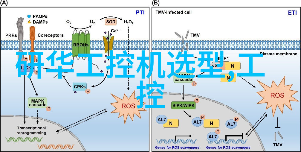 纯净源自家门直饮水净化设备的科学选择与实用优势