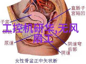 研华推出Intel 7年长供货期和宽温支持的WiFi模块强化嵌入式技术在物联网中促进物品智能化应用