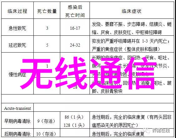 主题我来分析那些让摄影爱好者眼前一亮的世界顶级人像摄影作品