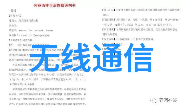 丝网填料与波纹填料的比较分析