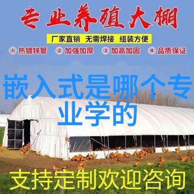 嵌入式系统学习宝典掌握微控制器与单片机编程技巧