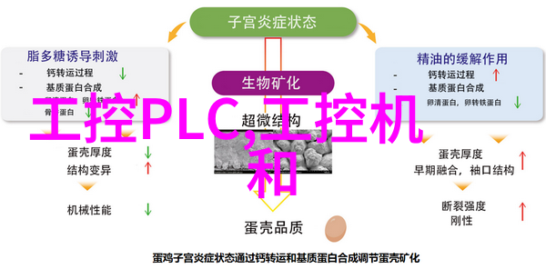 嵌入式系统应用与开发培训概述