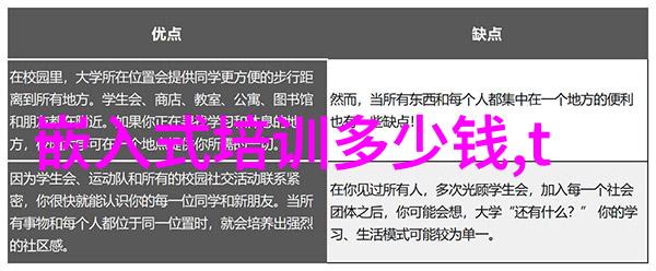 嵌入式应用软件开发工程师实践与理论探究系统设计编程语言选择与性能优化