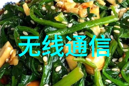 丝网填料与陶瓷填料结构性能及应用差异探究