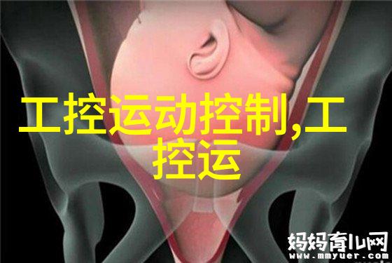 不锈钢丝网填料-高效筛选与稳定支撑的创新材料解决方案