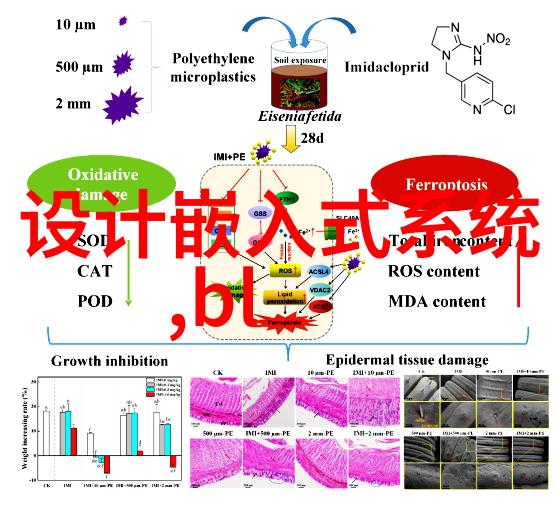 探秘股市数字密码二三四五背后的投资策略