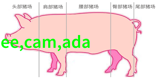 夏日清凉客厅装修风格简洁大方高温也能享受舒适时光