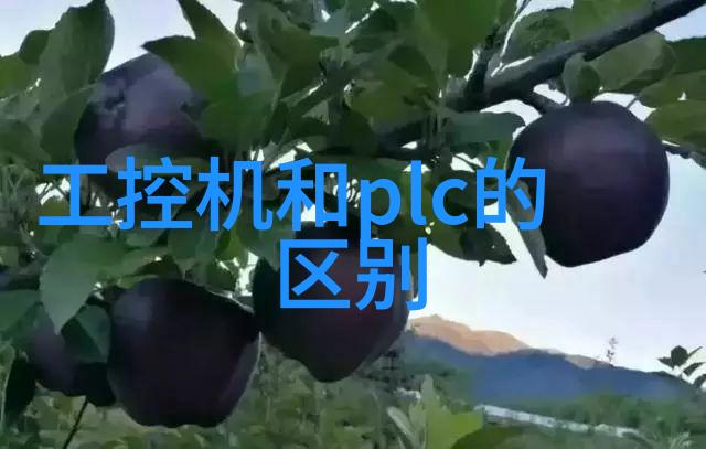 市政供水管道选择PE管与PPR管的对比与应用