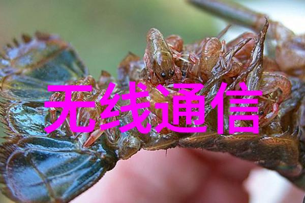 我的油水分离过滤器帮你解决生活中的小烦恼