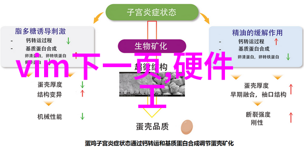 广州摄影捕捉珠江之光与古韵