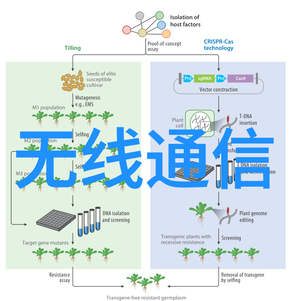 环氧乙烷灭菌口罩好吗-环氧乙烷技术的防护面具安全与实用性探究