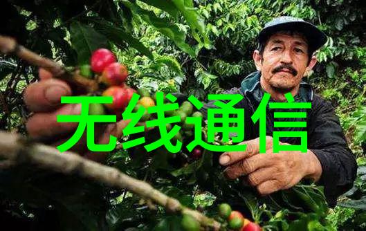 最新装修风格-现代简约与未来主义交融探索2023年最流行的家居设计趋势