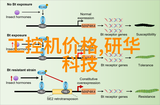 探寻灵感源泉这些伟大的摄影作品是如何启发后人的创作新思路的呢