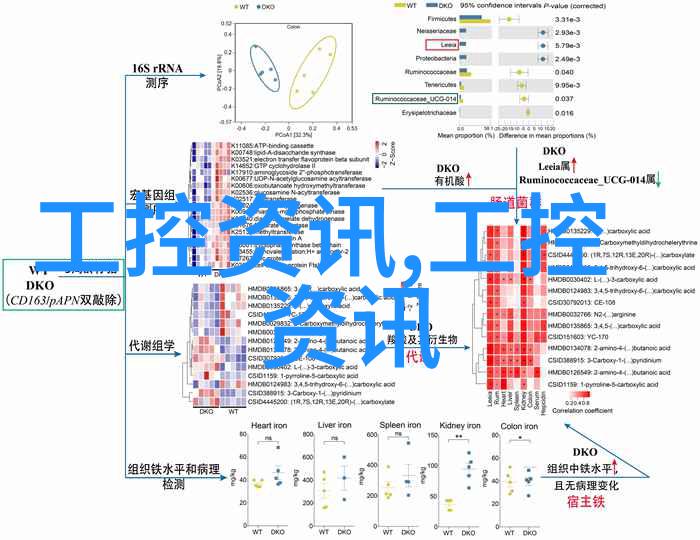 嵌入式好找工作吗-在数字世界中寻找嵌入式工程师的宝藏地图