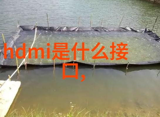 砂浆王的末日