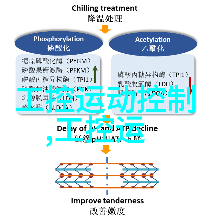 夸张的热水保温神器6分塑料水管仅需一分钱一米