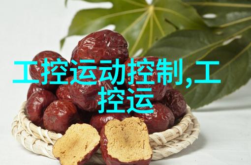 掌握时间的脉络专用时钟芯片的工作原理与应用探索