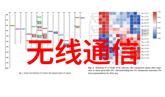 嵌入式系统开发Linux之选与其他替代方案的探讨