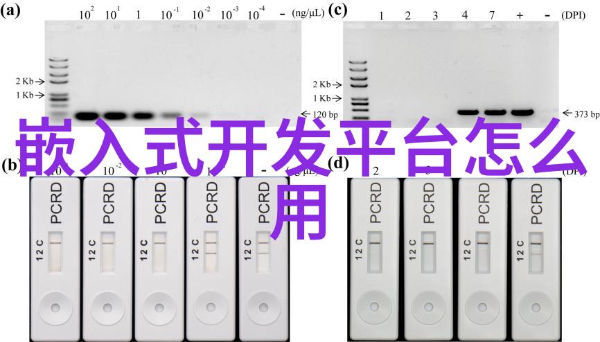 了解三相分离器它是如何工作的