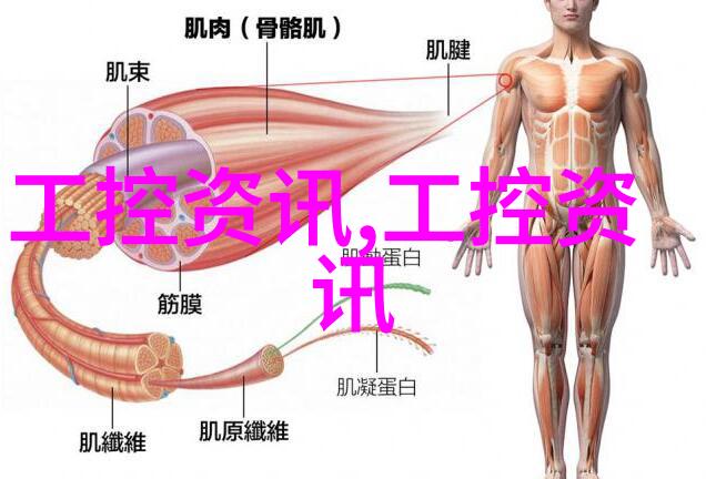 对于不同风格的人物应该采用哪种拍摄风格来制作首页照片