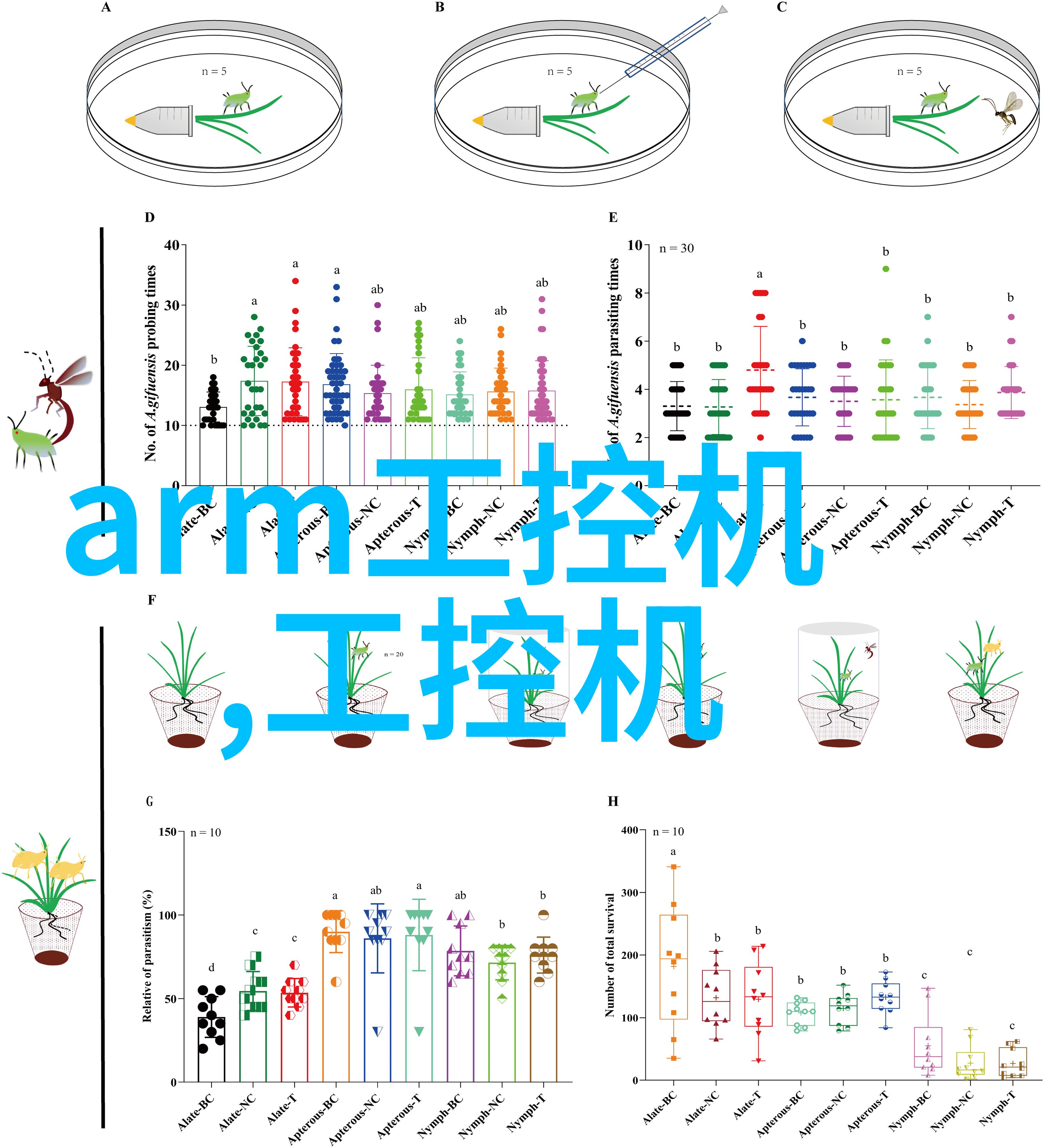 镜头前的悔恨我为什么后悔学摄影