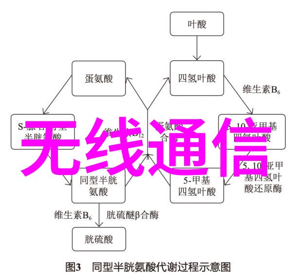 绳索的游戏两个男人之间的欲望与快乐